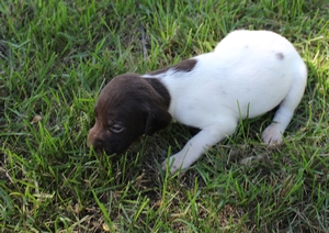 Maggie X Jett 2021 4